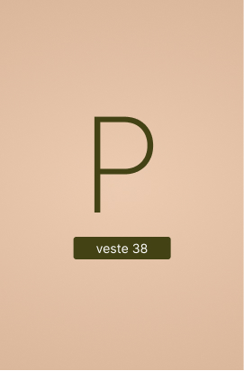 Banner P-38